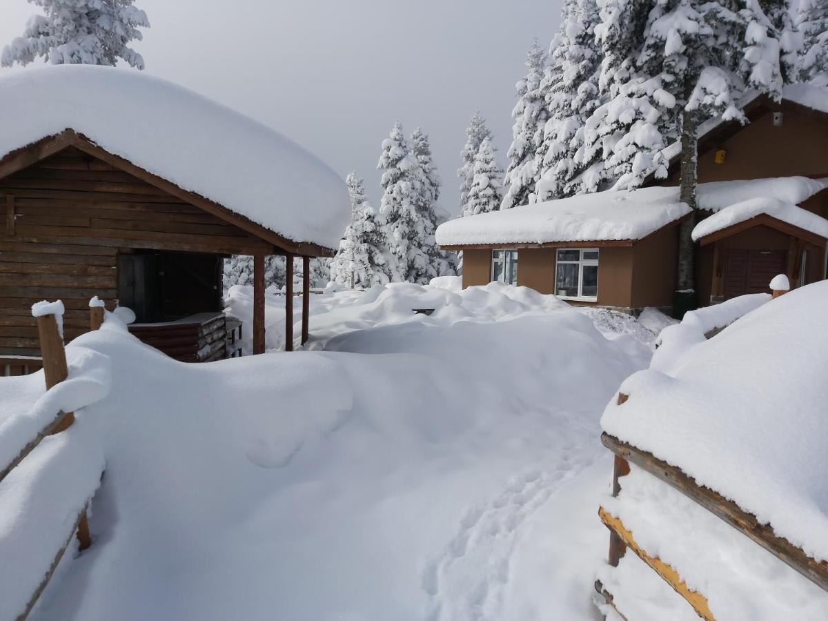 Elifim Resort Hotel Болу Экстерьер фото