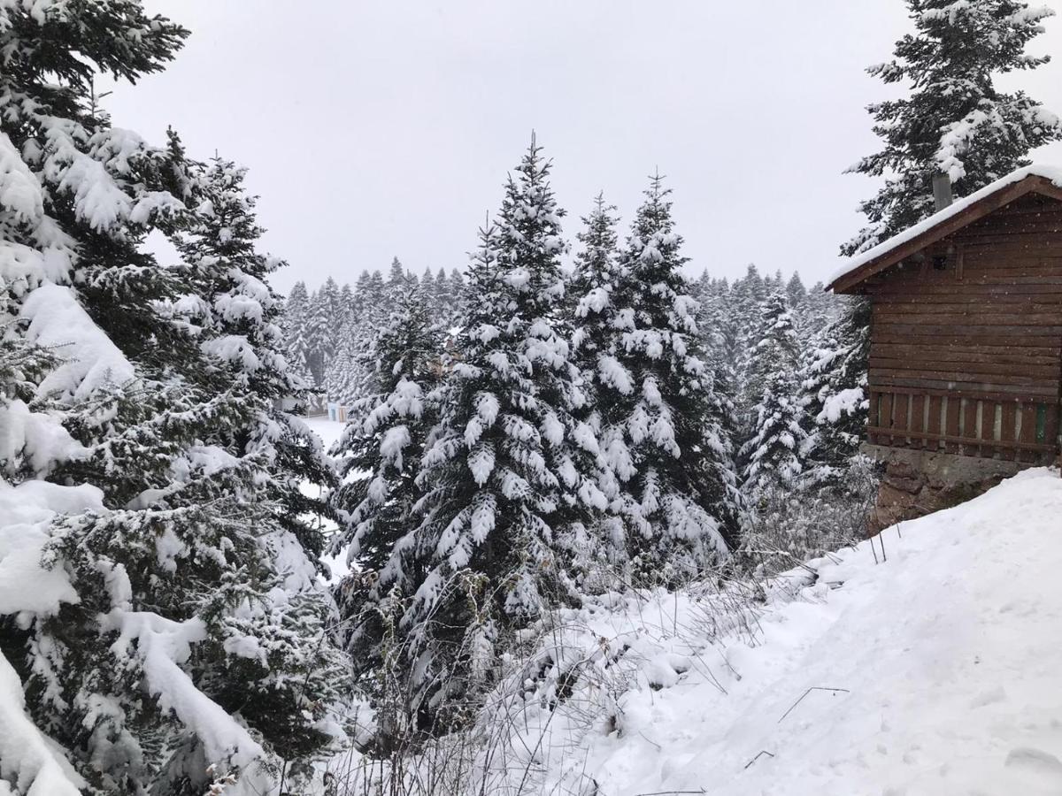 Elifim Resort Hotel Болу Экстерьер фото